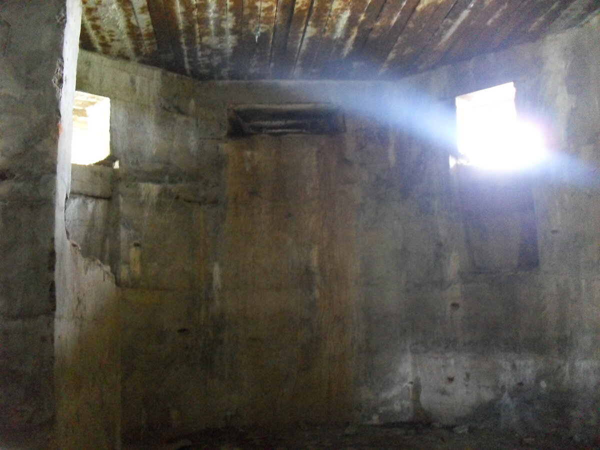 SDC13209.JPG
