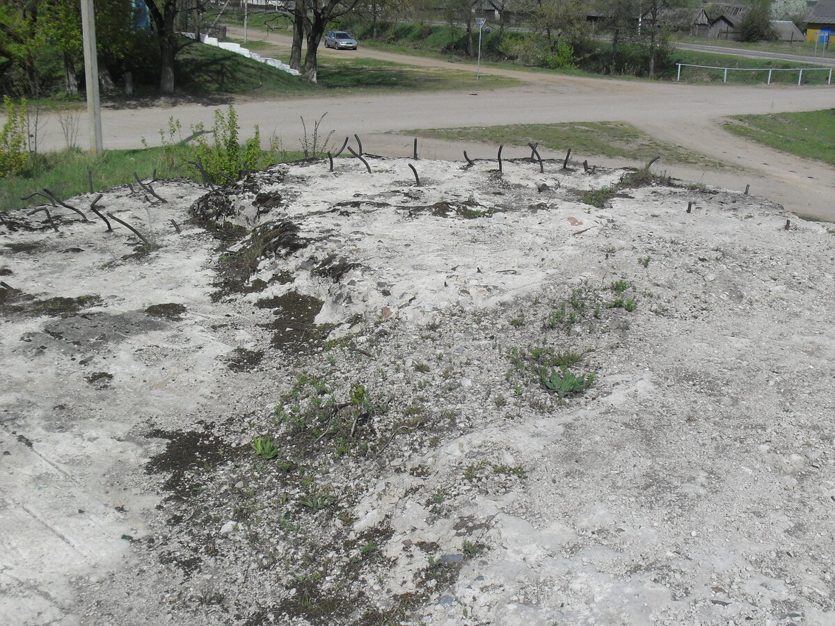 SDC13212.JPG