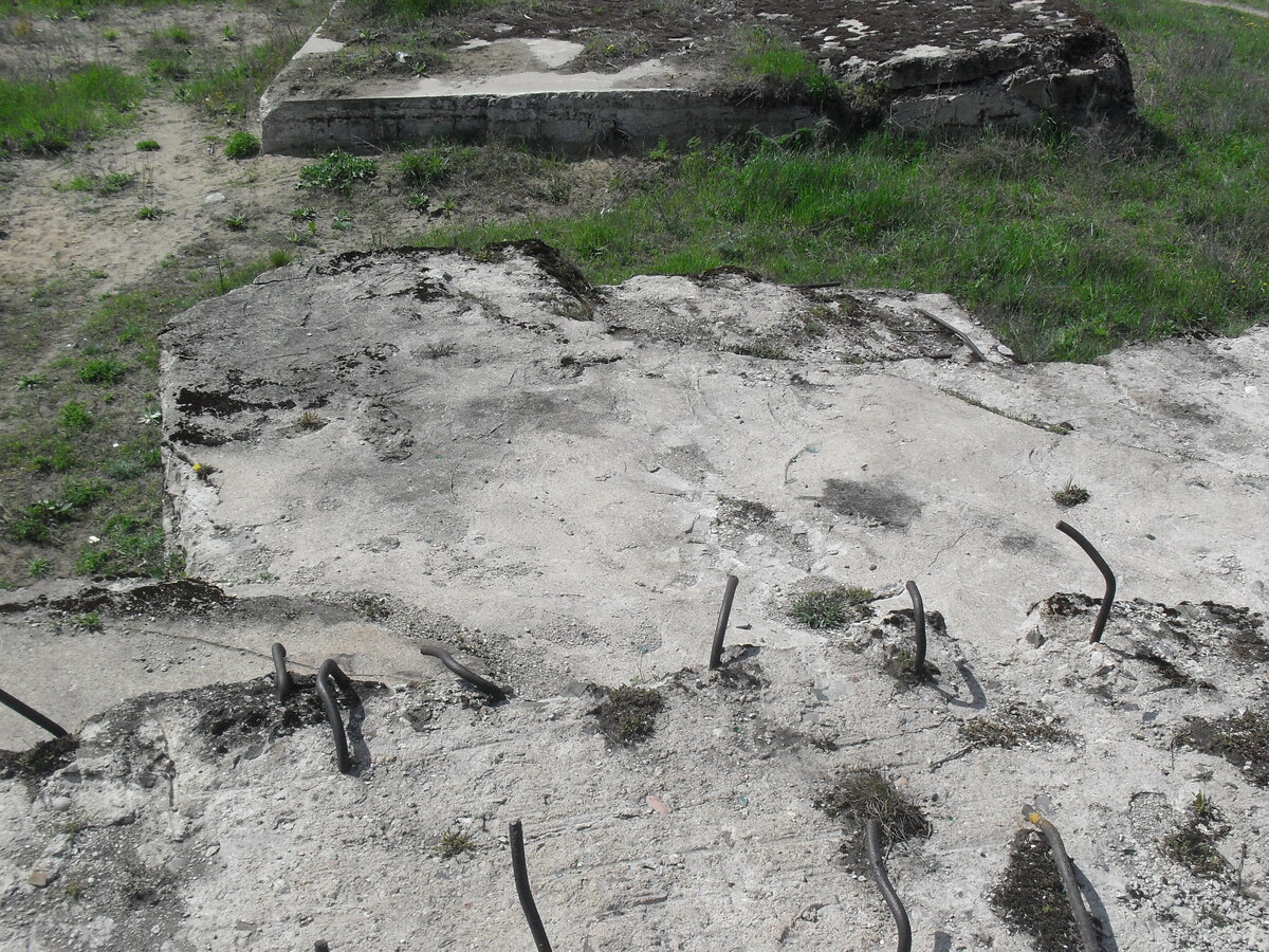 SDC13213.JPG