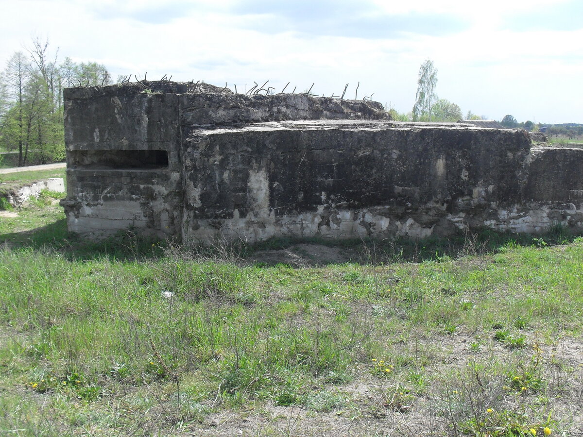 SDC13214.JPG