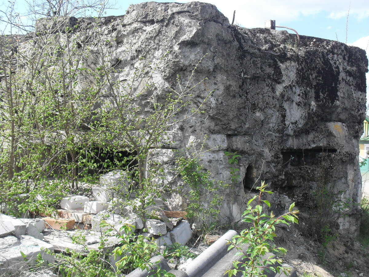 SDC13218.JPG