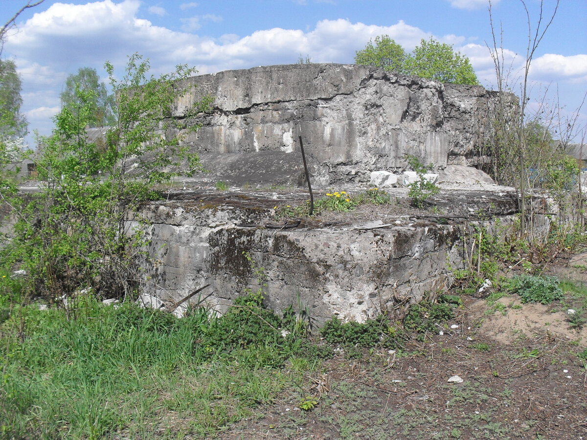 SDC13219.JPG