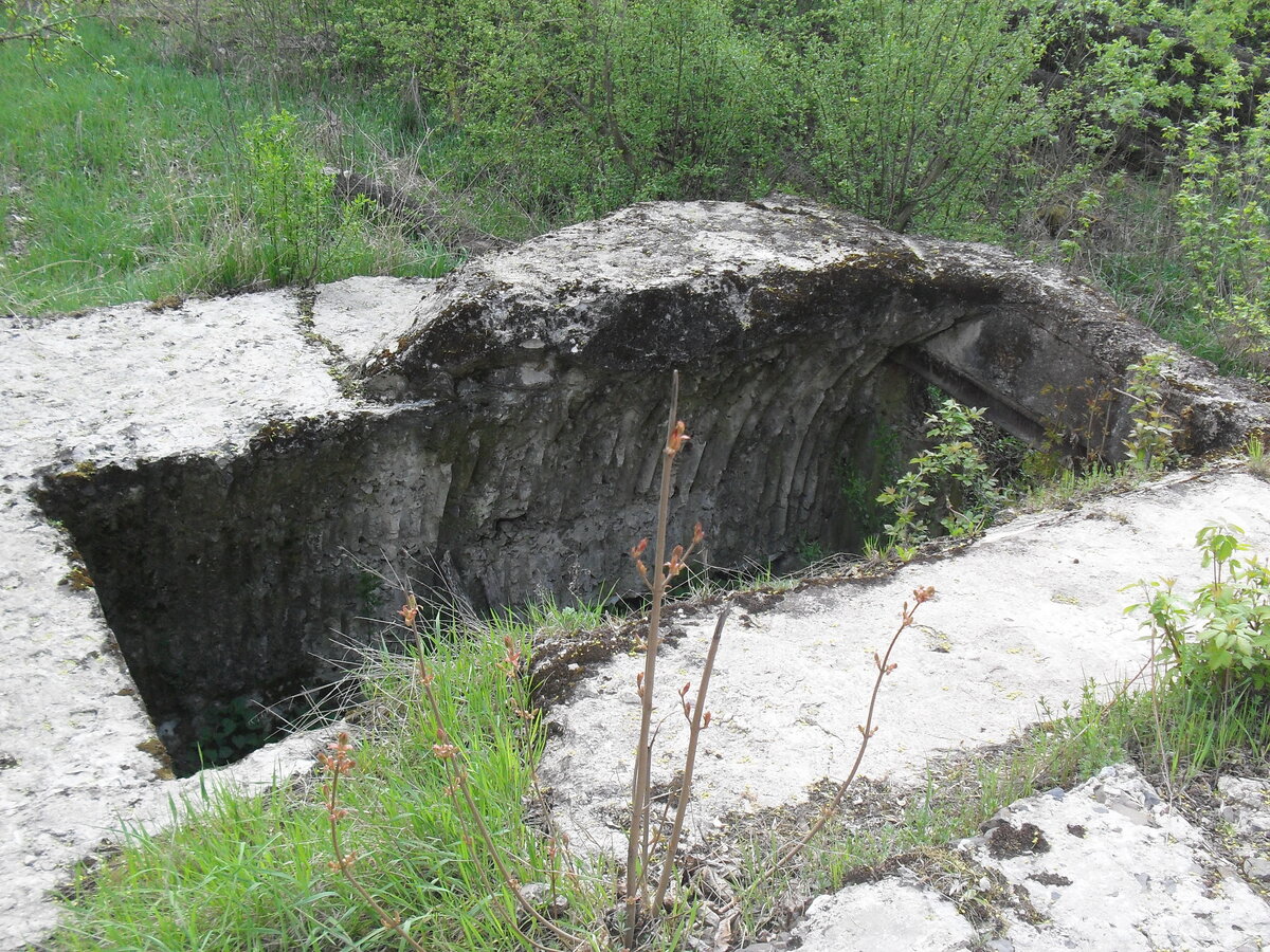 SDC13222.JPG