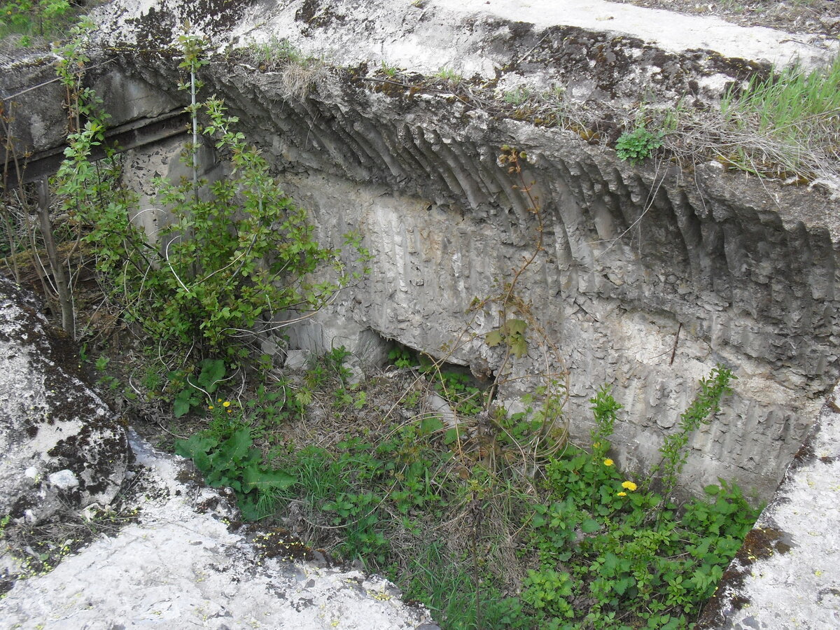 SDC13223.JPG