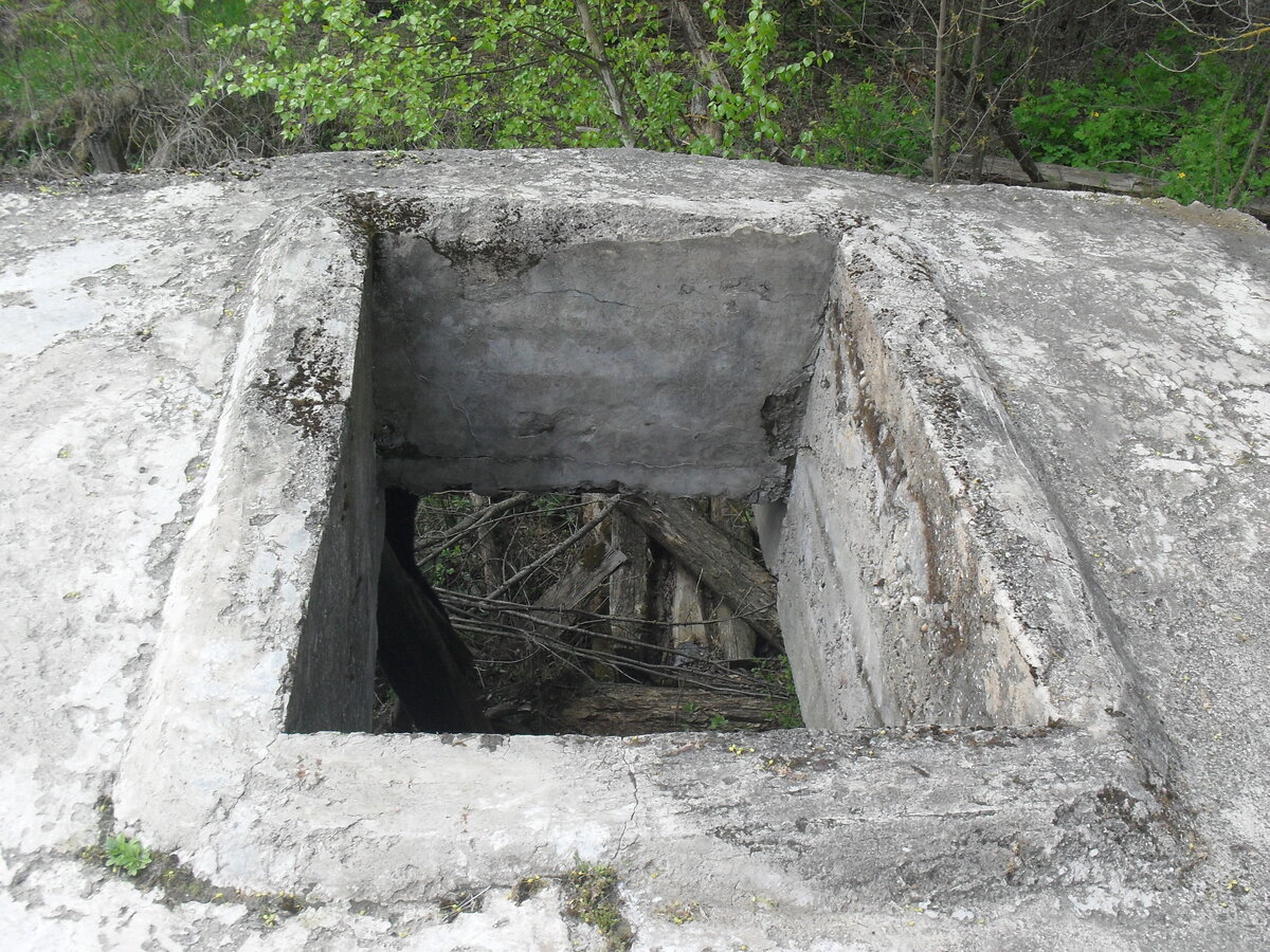SDC13225.JPG
