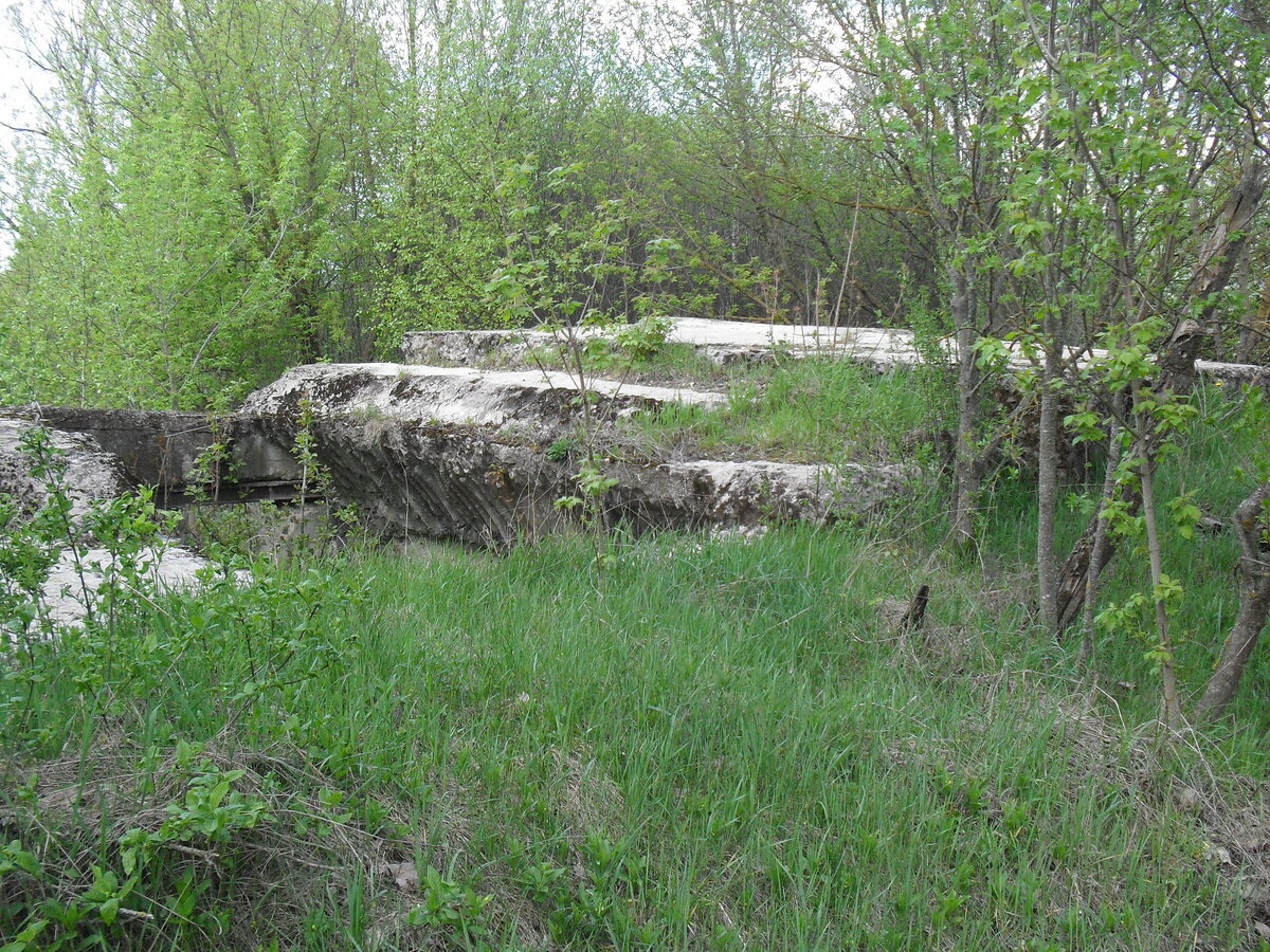 SDC13229.JPG
