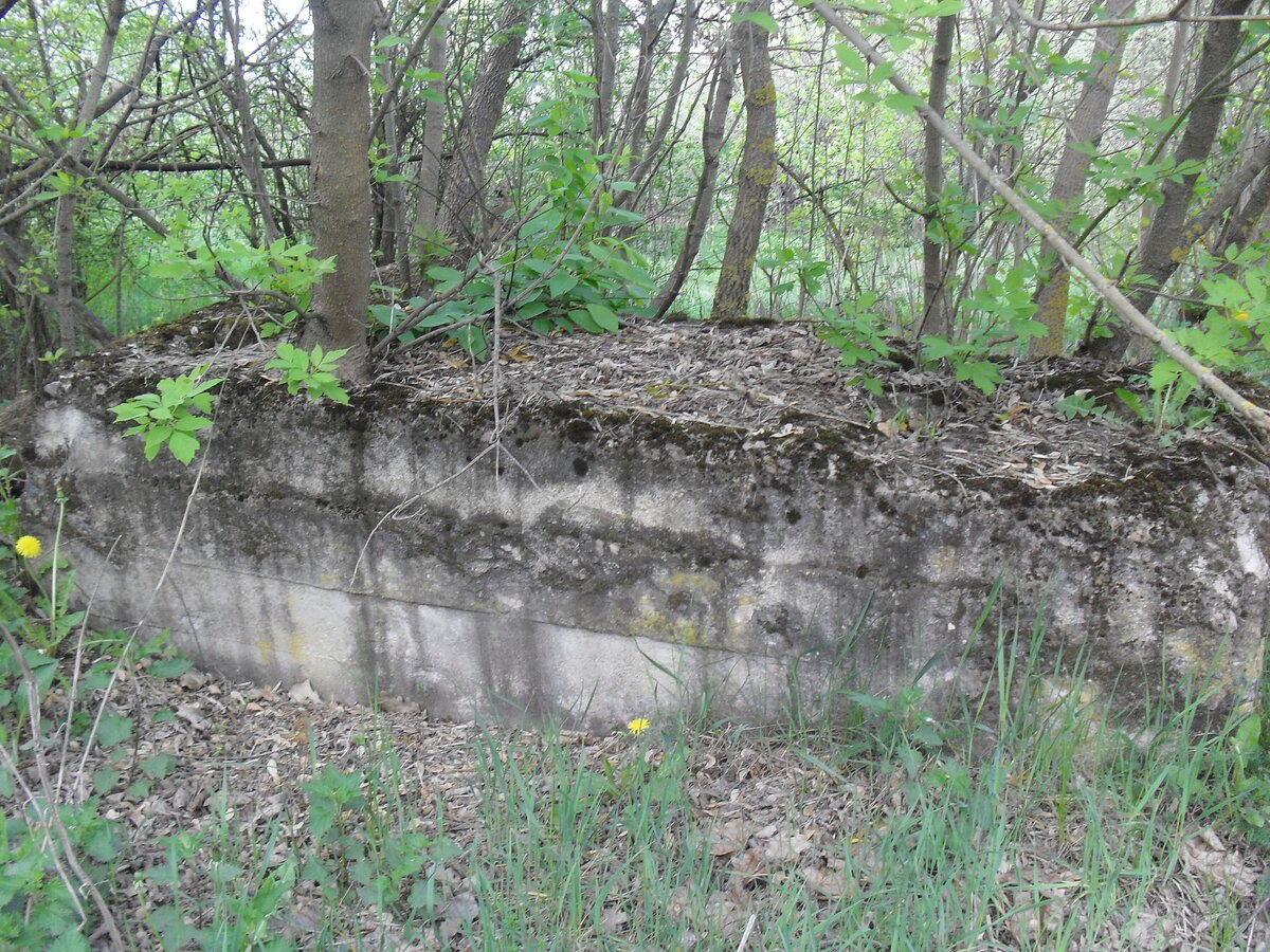 SDC13230.JPG