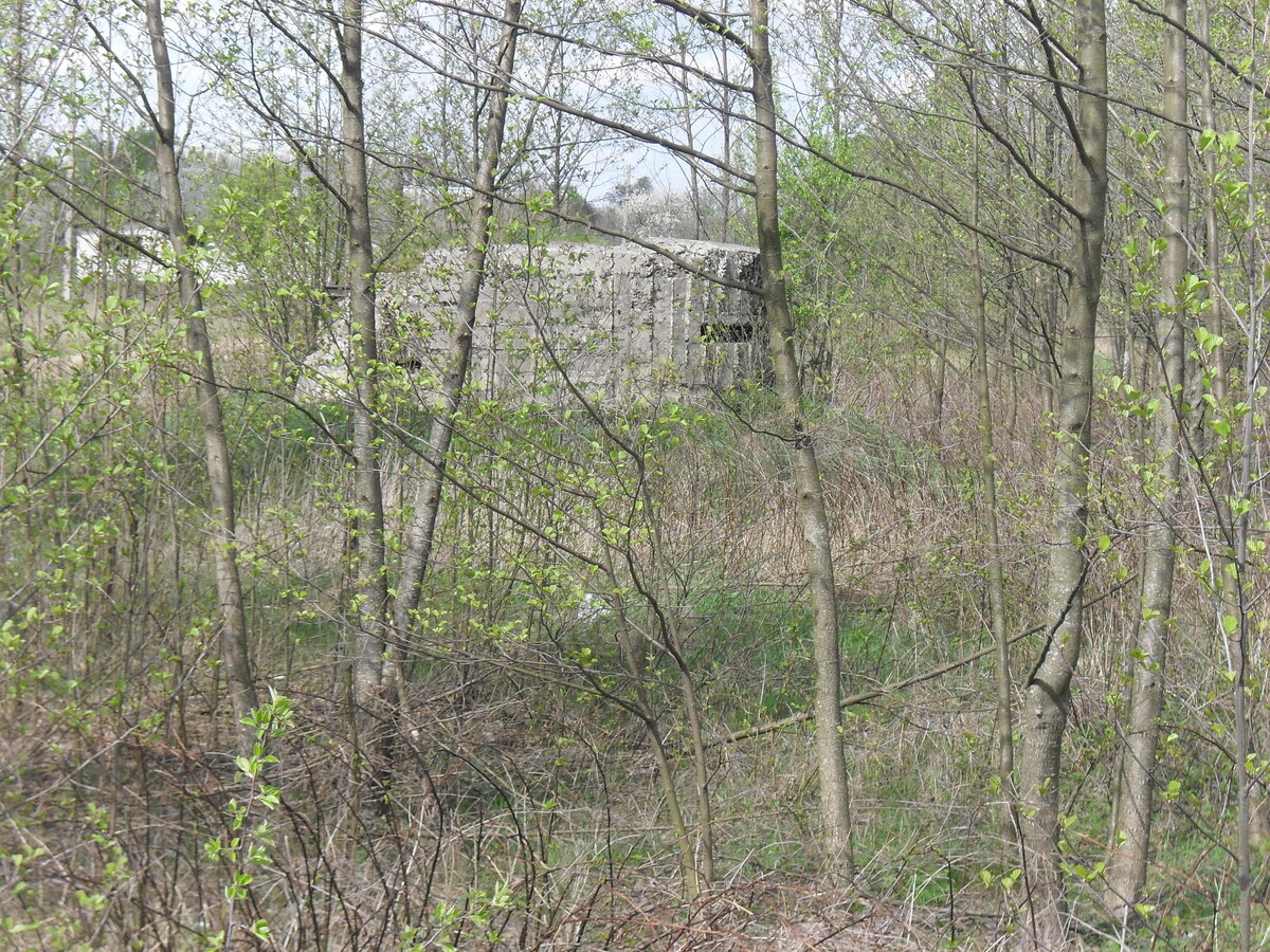 SDC13235.JPG