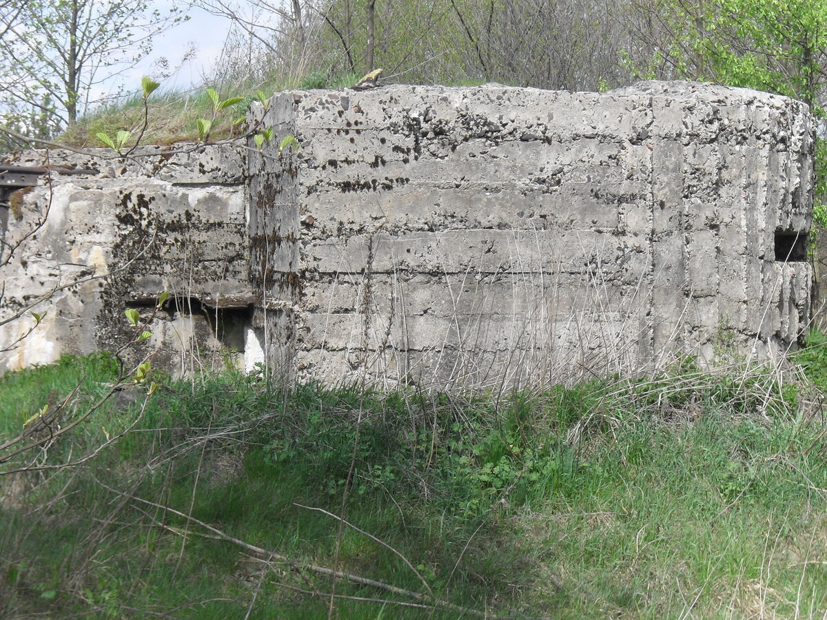 SDC13236.JPG