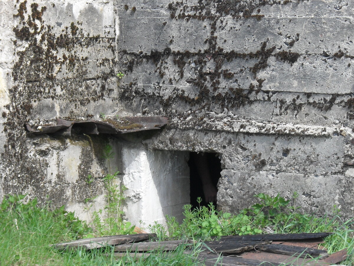 SDC13237.JPG