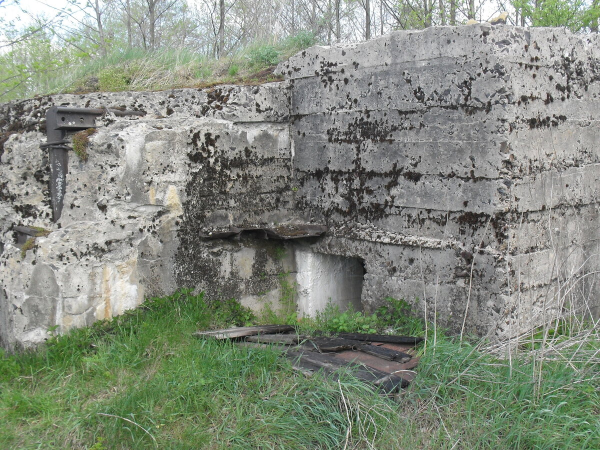 SDC13245.JPG