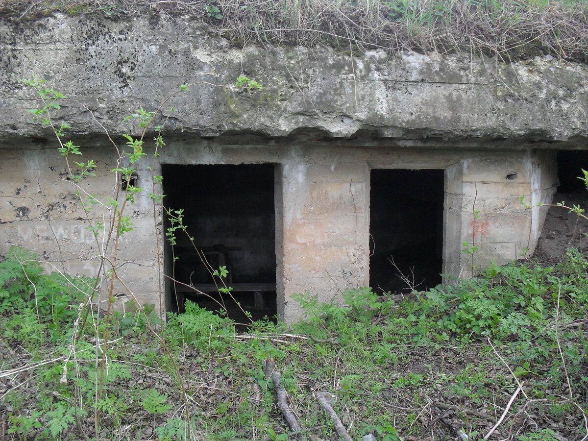SDC13251.JPG