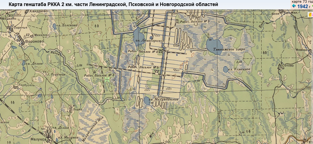 Дольников4.jpg