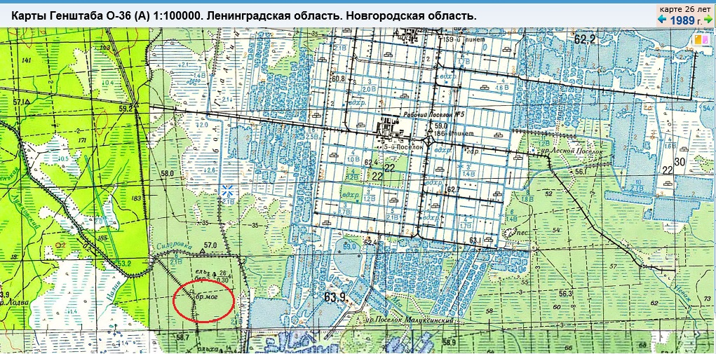 Дольников5.jpg