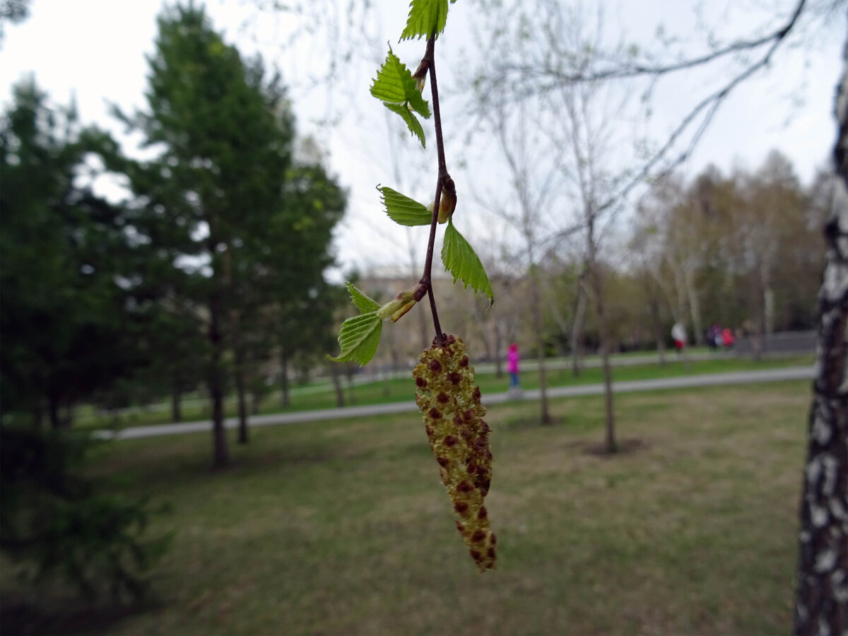 DSC09101.jpg