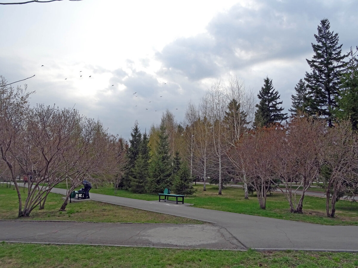 DSC09124.jpg