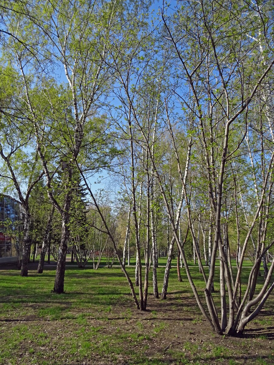 DSC09458.jpg