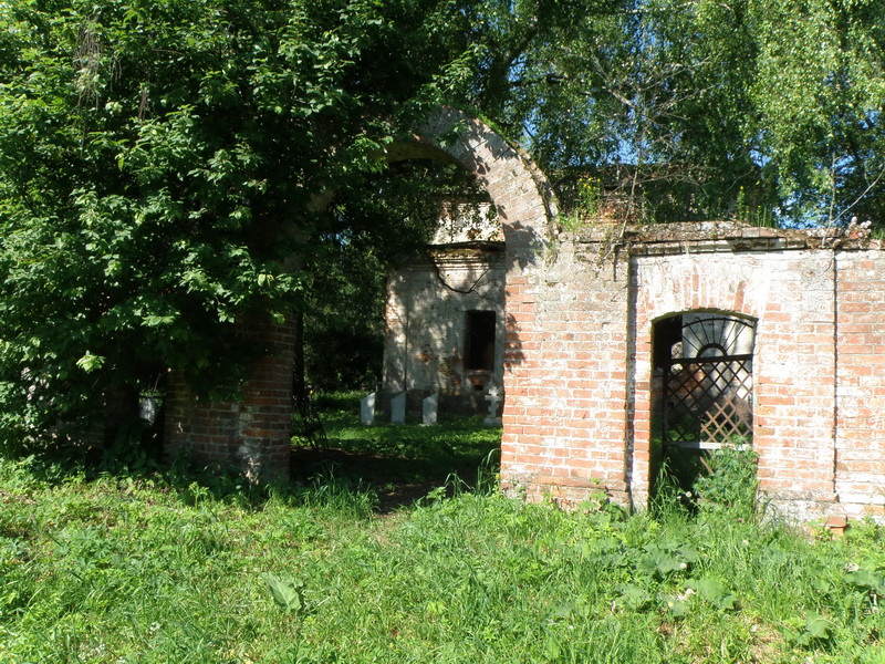 P6090273_новый размер.JPG