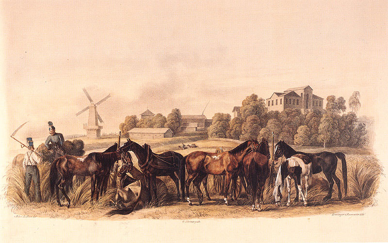 Na_bivake,_31_avgusta_1812_goda.jpg