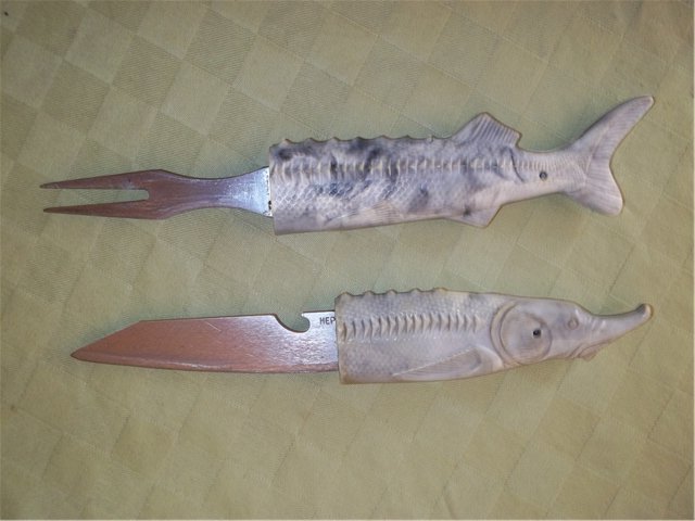4856062.jpg