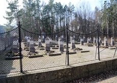 ^1CA1D30C29B455AFEBDF45B981808D509AB99D5CA803F8D35A^pimgpsh_thumbnail_win_distr.jpg