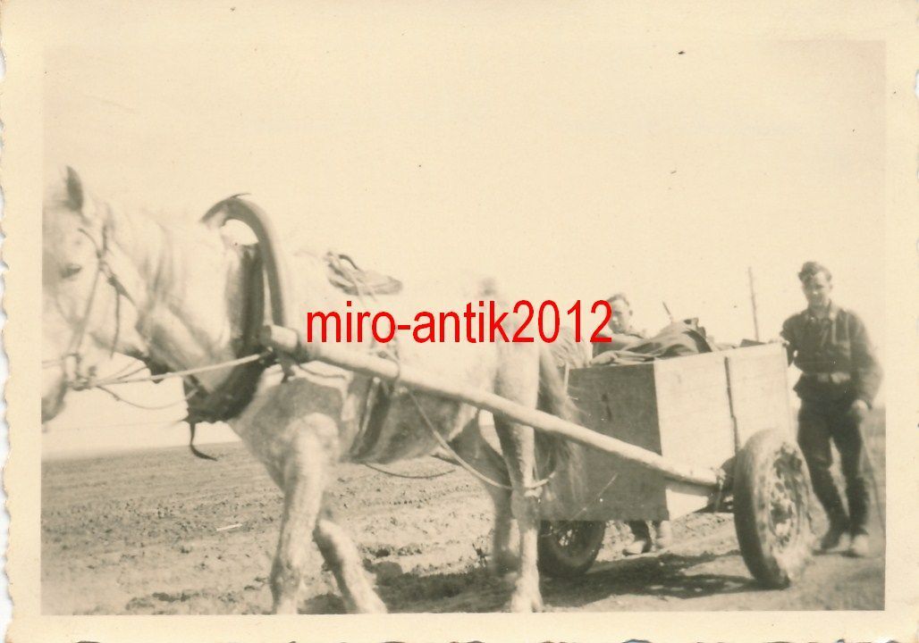 3 x Foto, Schlacht um Russland 4142, Ghatsk nach Shulebina1.JPG