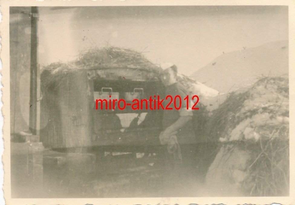 5 x Foto, Schlacht um Russland 4142, Shulebina, Winter 19421.JPG