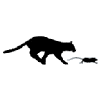 8d032b7648be2210d644842141474d5e.gif