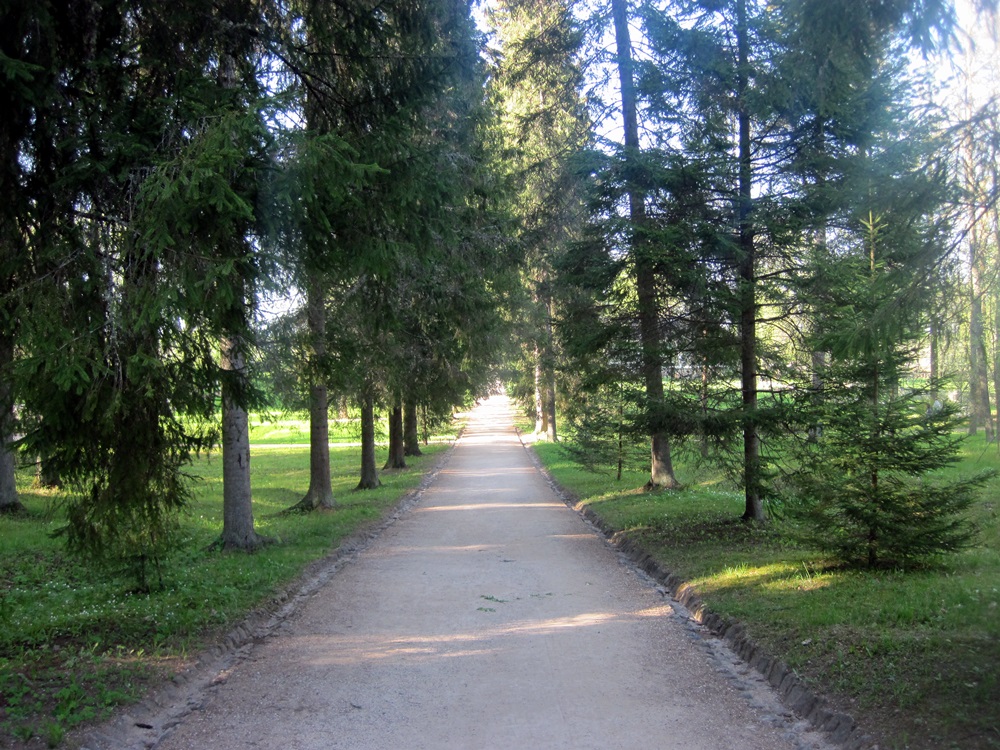 IMG_7289.JPG