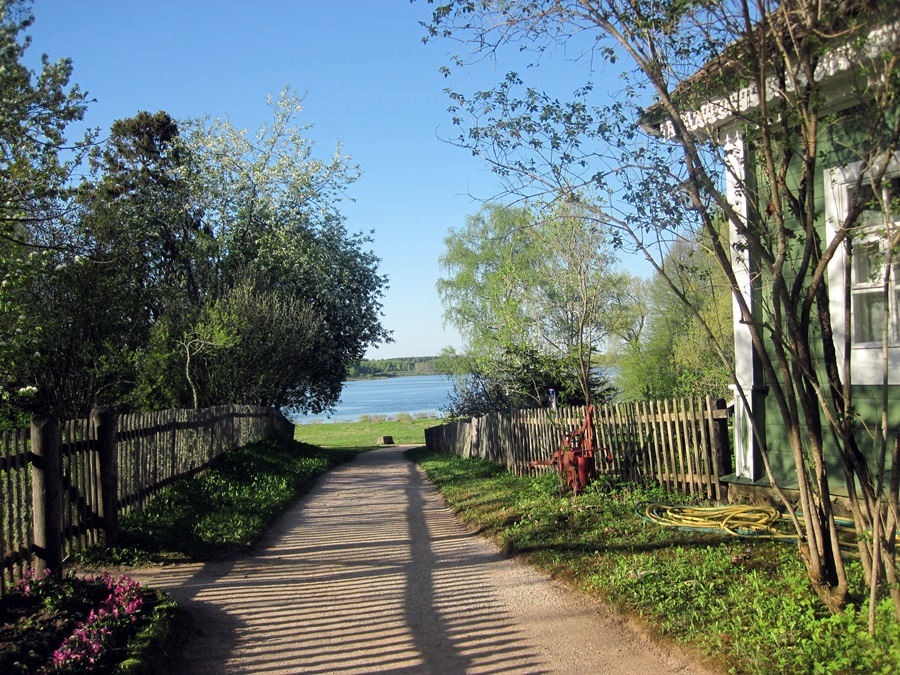 IMG_7357.JPG