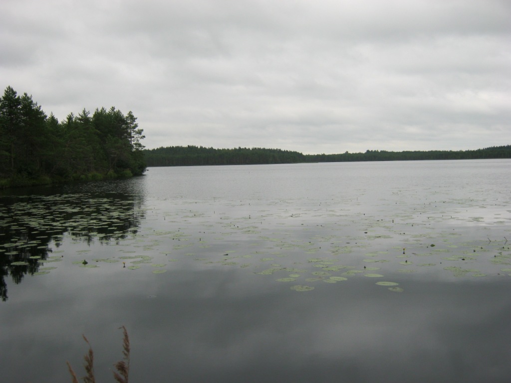 IMG_0555.JPG