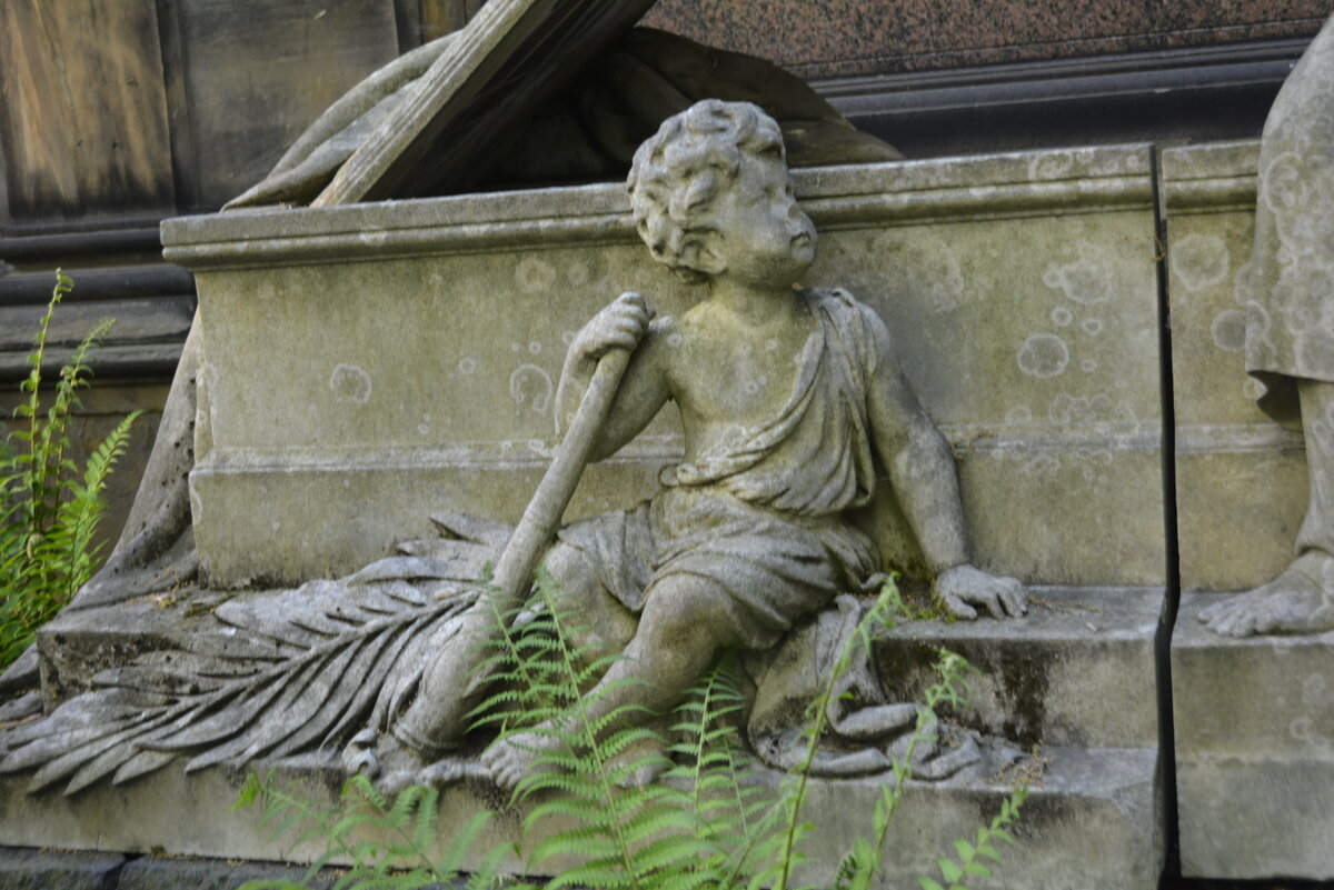 _DSC9101.JPG