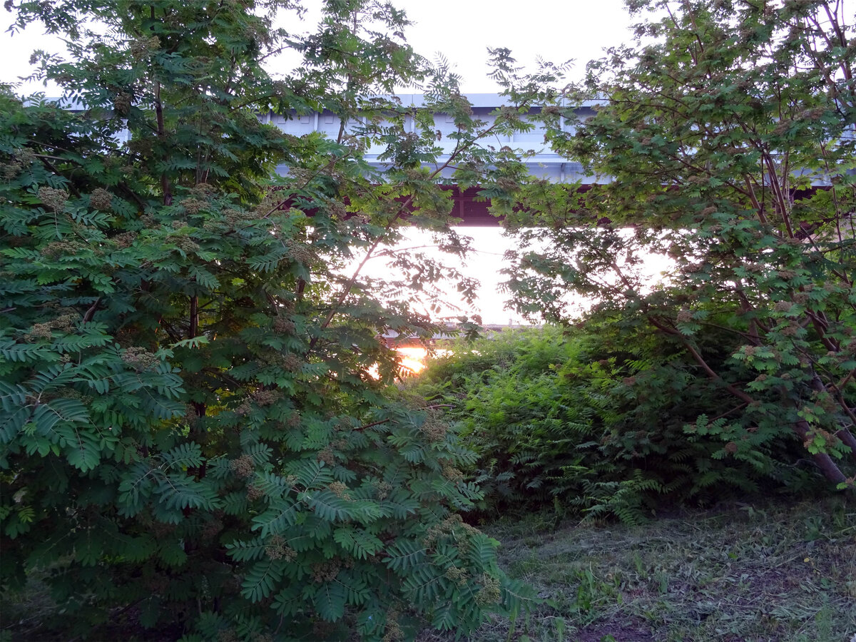 DSC01042 копия.jpg