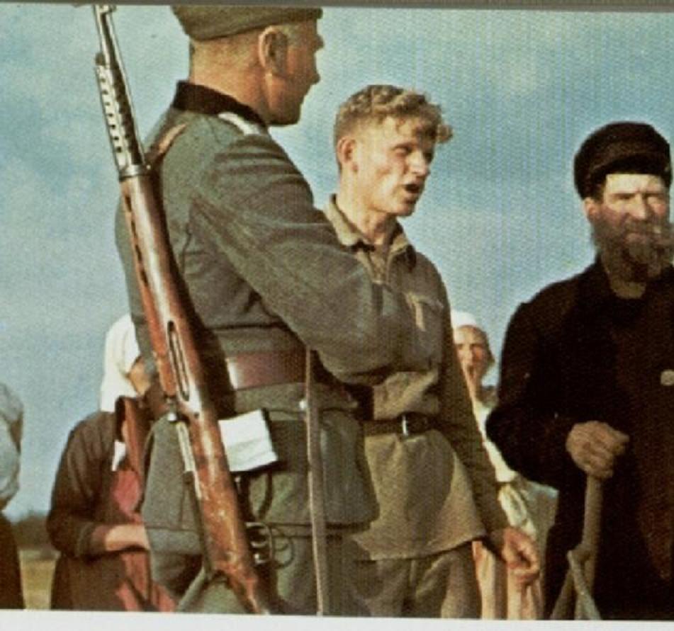 svt40color.jpg