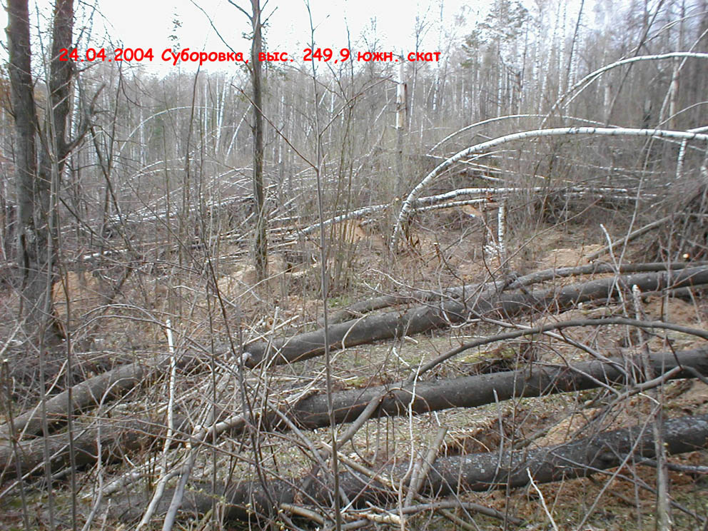 2004_4_24D.jpg