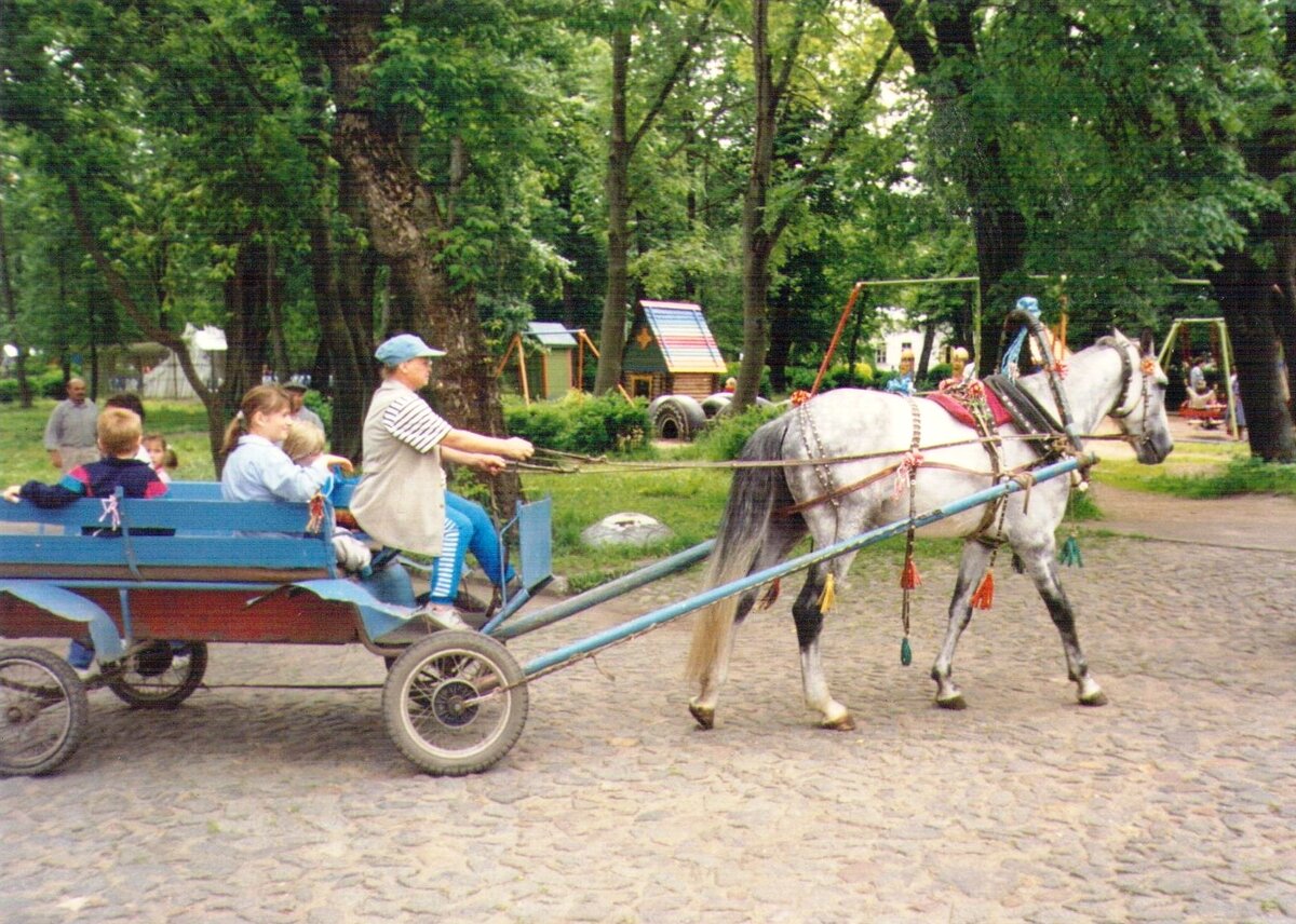 дд - копия - копия.jpg