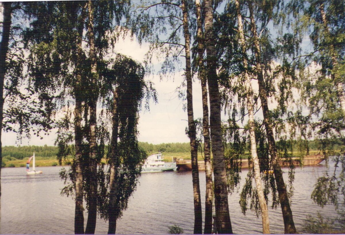 щло - копия - копия.jpg