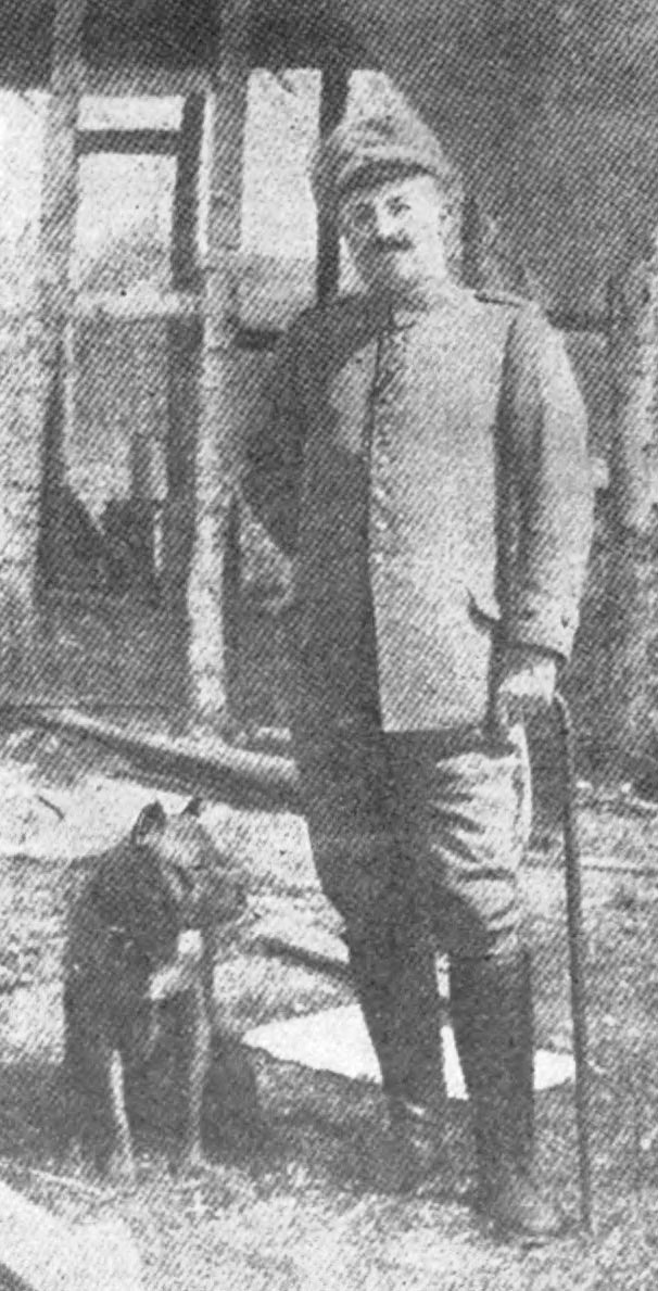 Iron-Cross-dog.jpg
