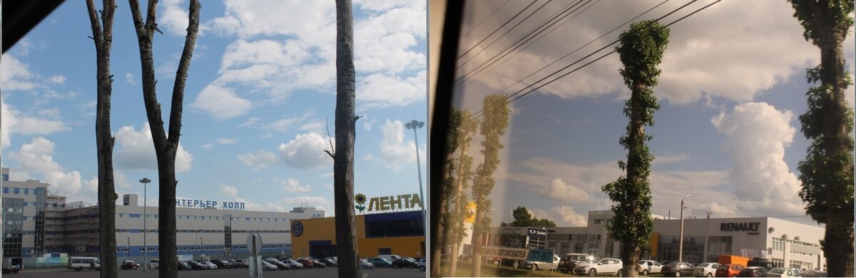 из окна трол..jpg