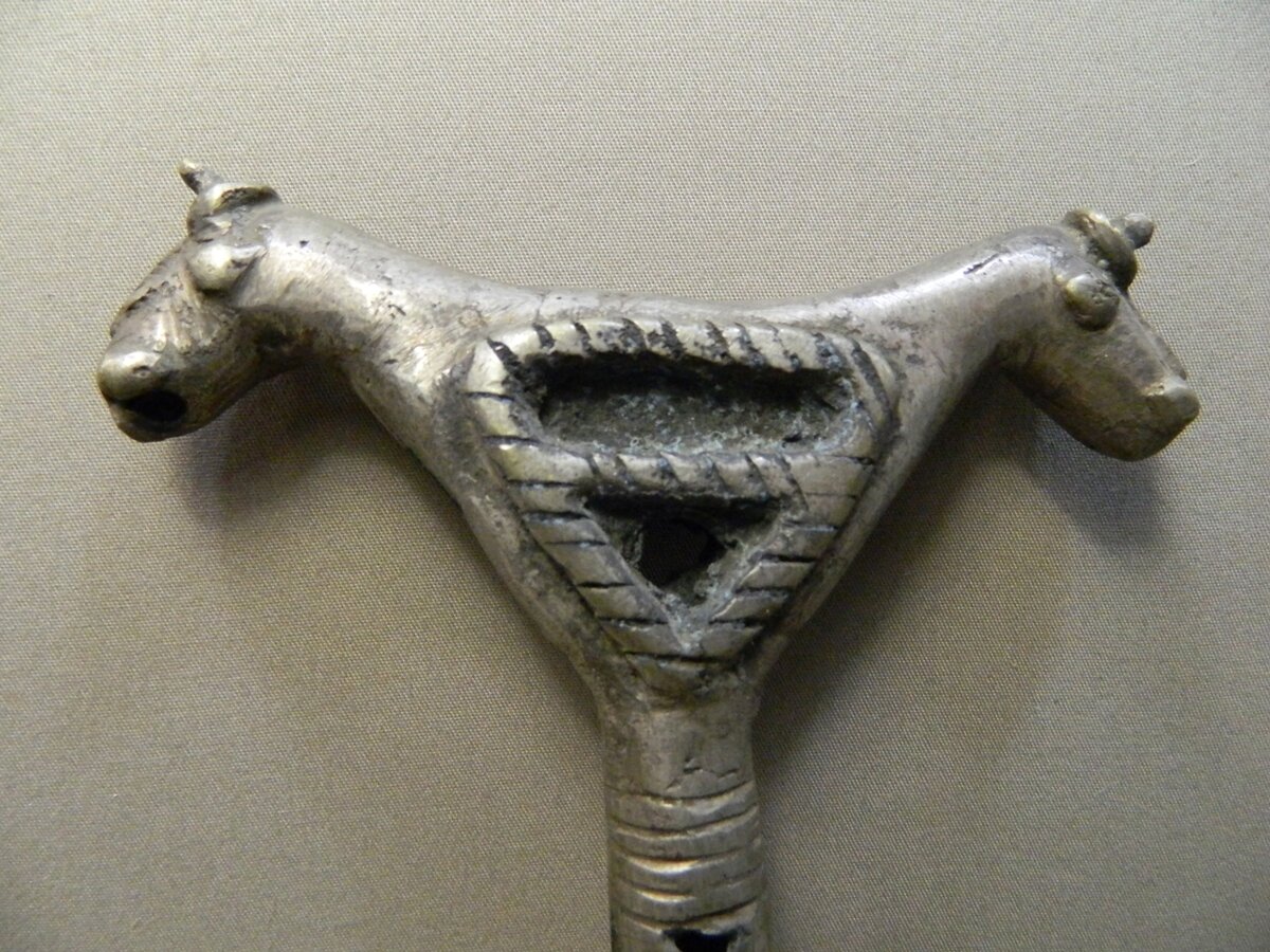 DSCN6030.JPG