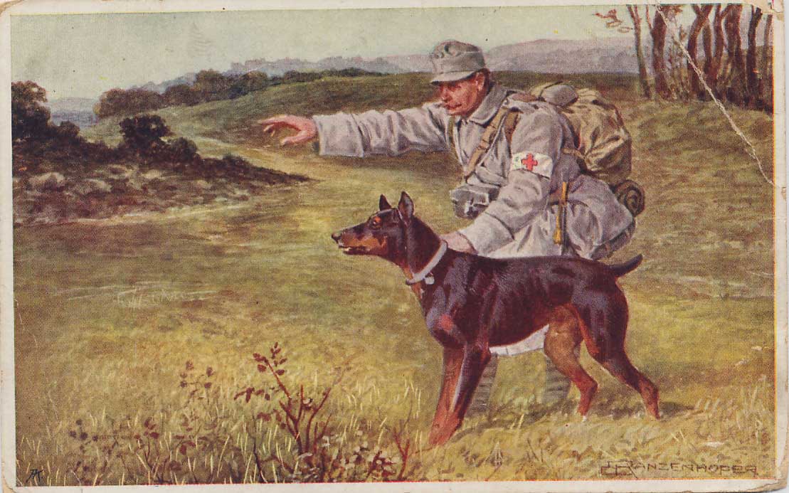 37437.jpg