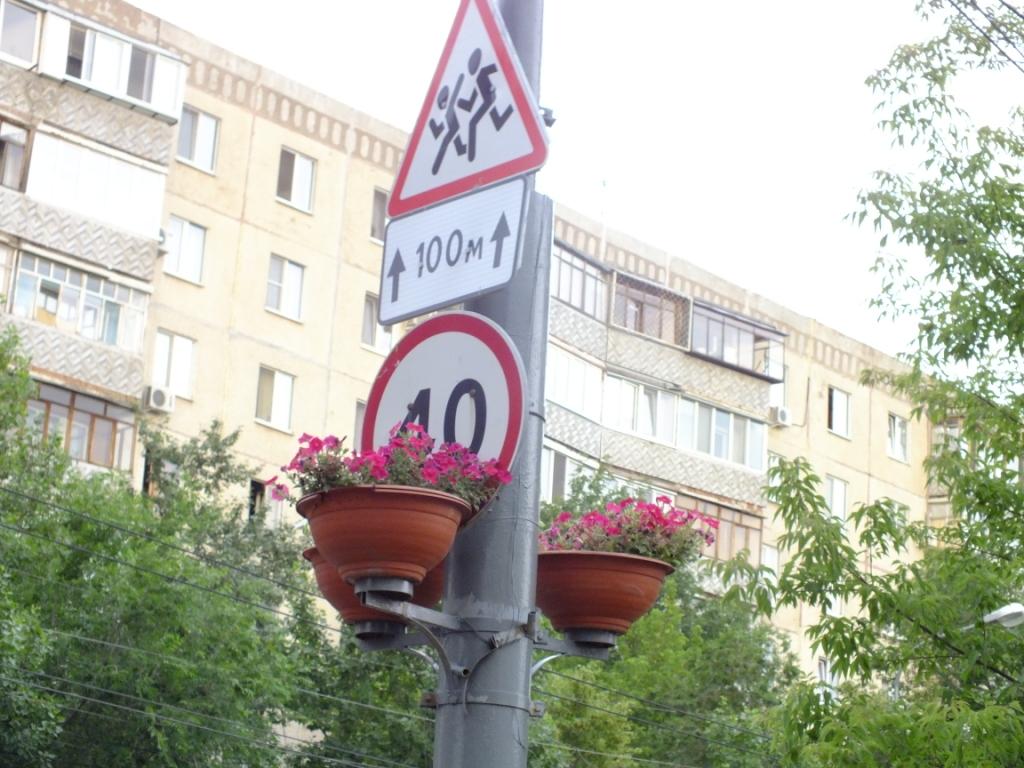 DSCF2423.JPG