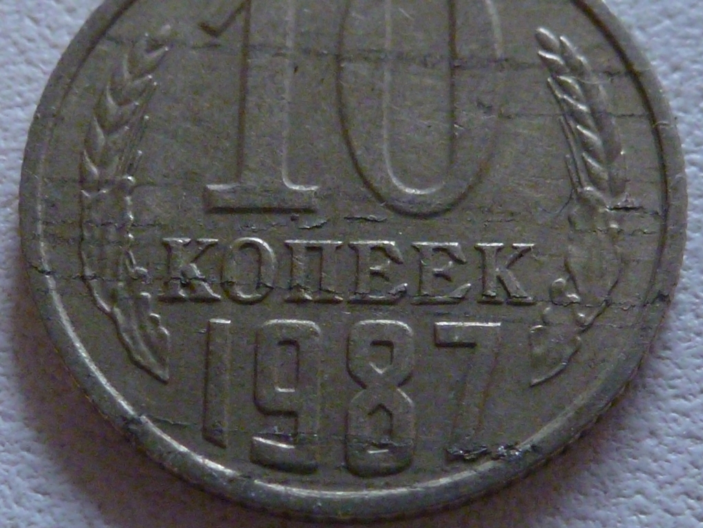 P1240260.JPG