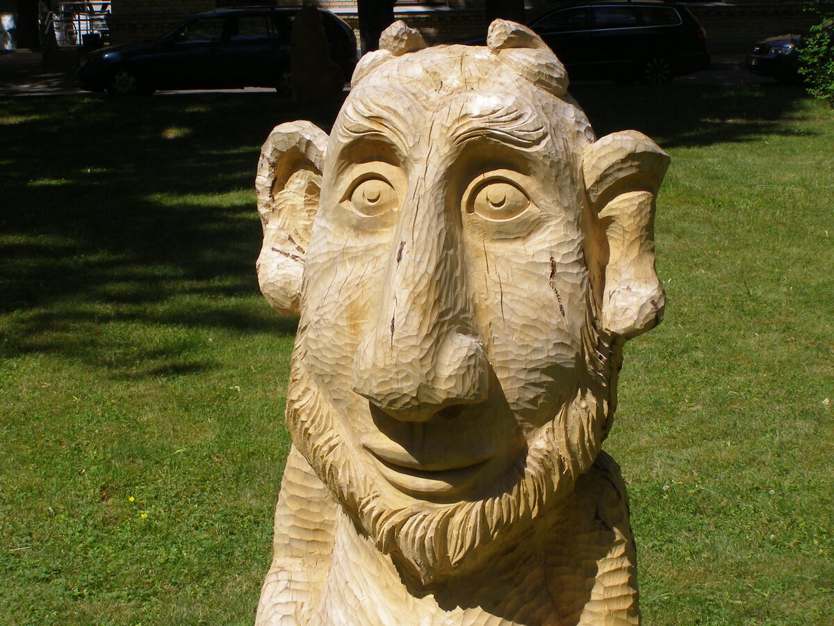ijunj 2015 024.jpg