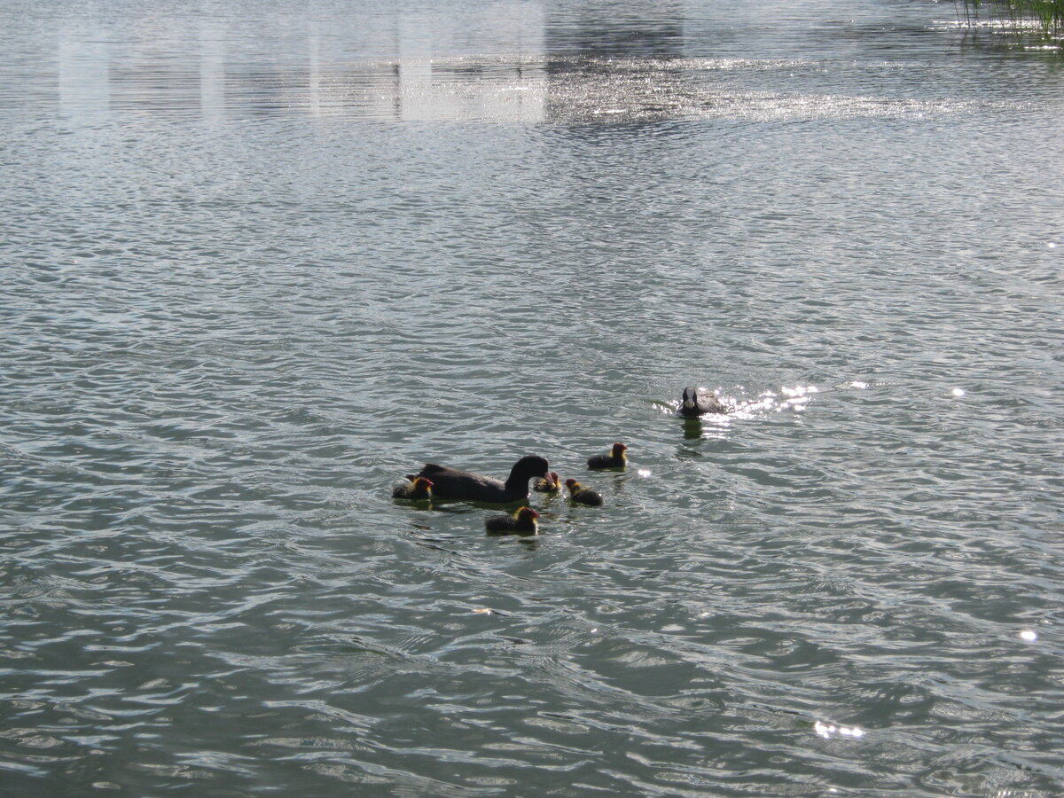 IMG_1593.JPG