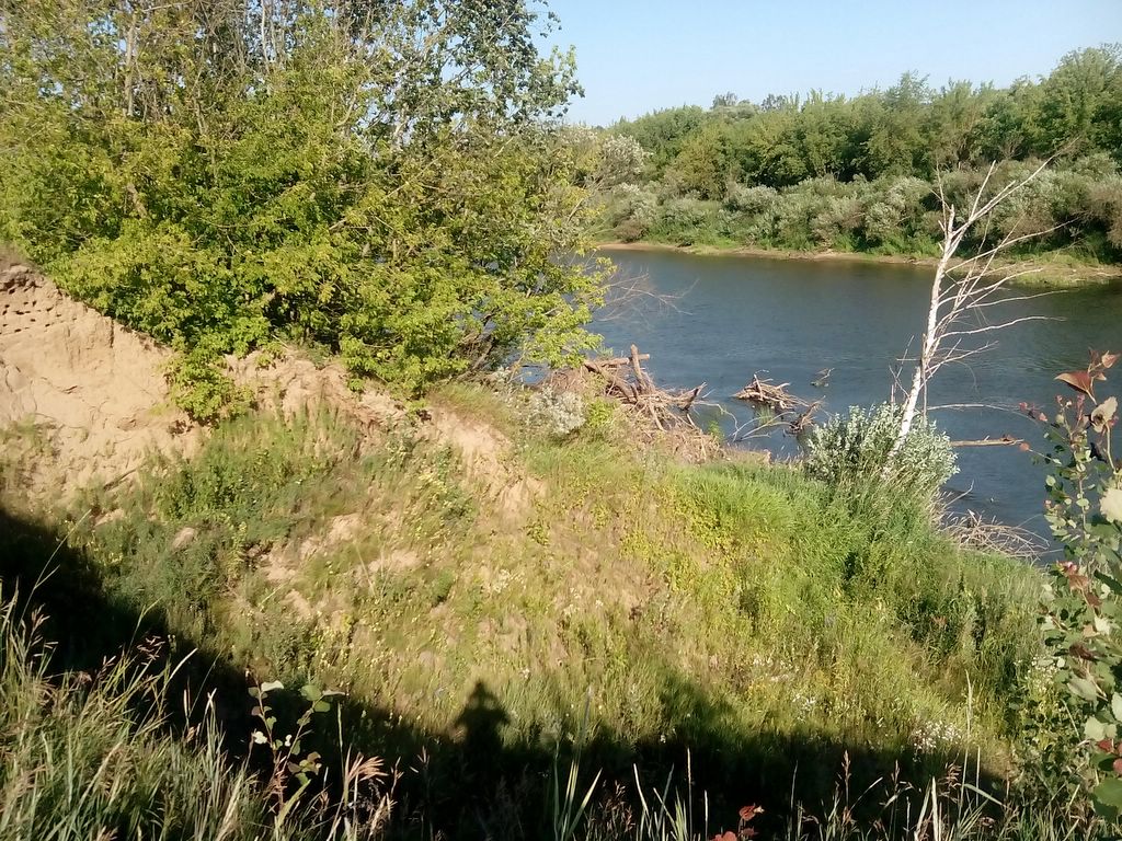 берег 2.jpg