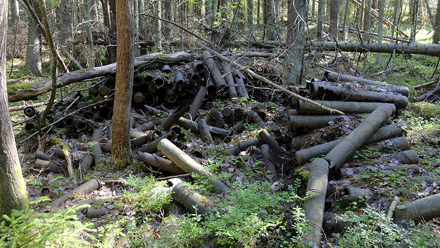 034.jpg