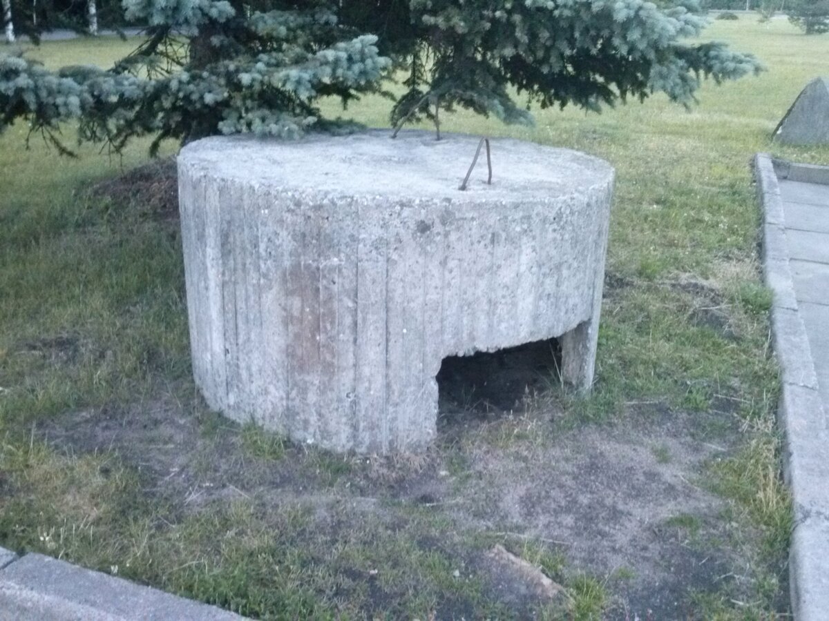 CAM01420.jpg