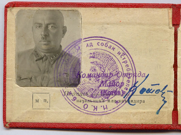 image 2.jpg