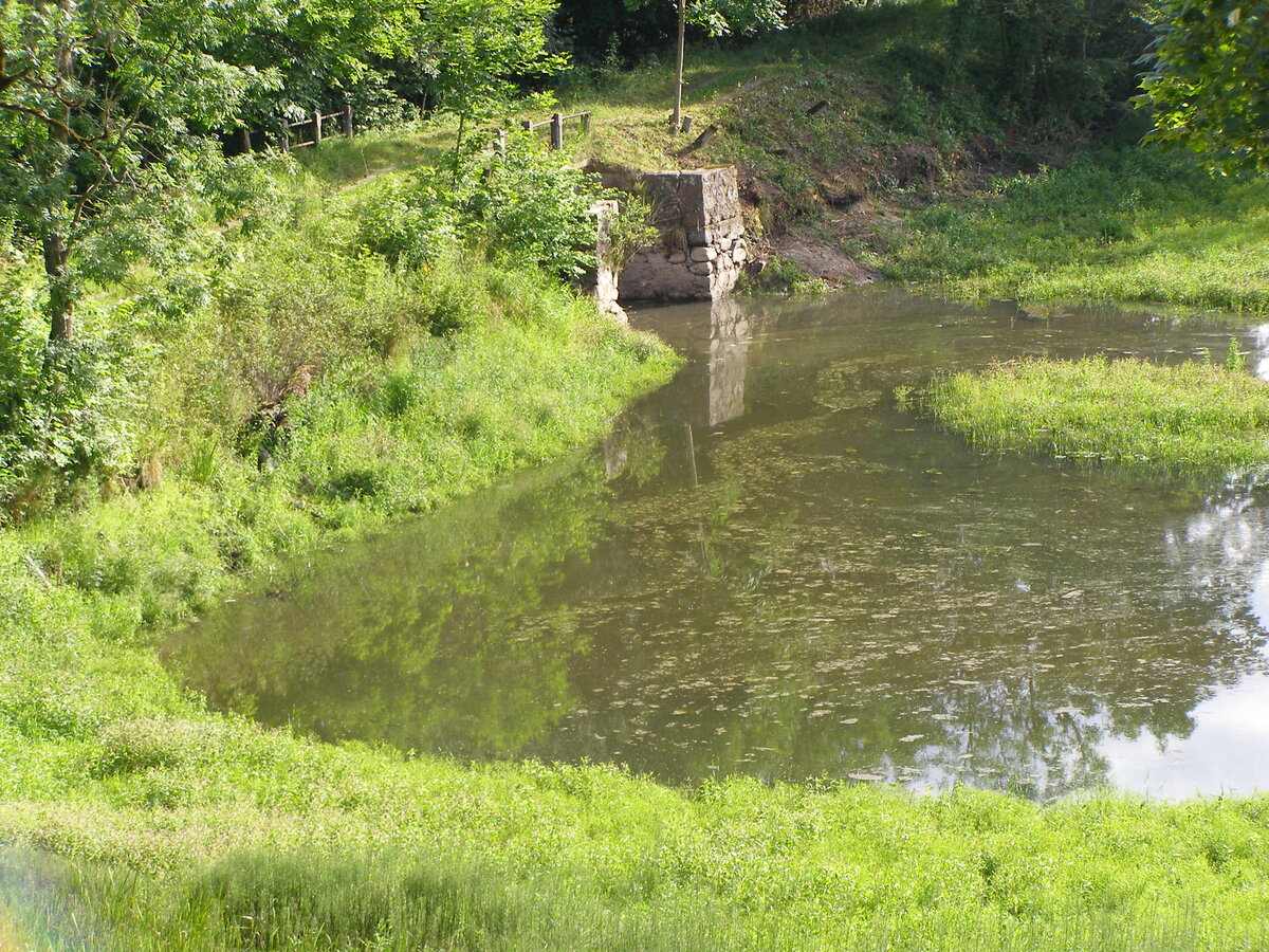 iijul 2015 114.jpg